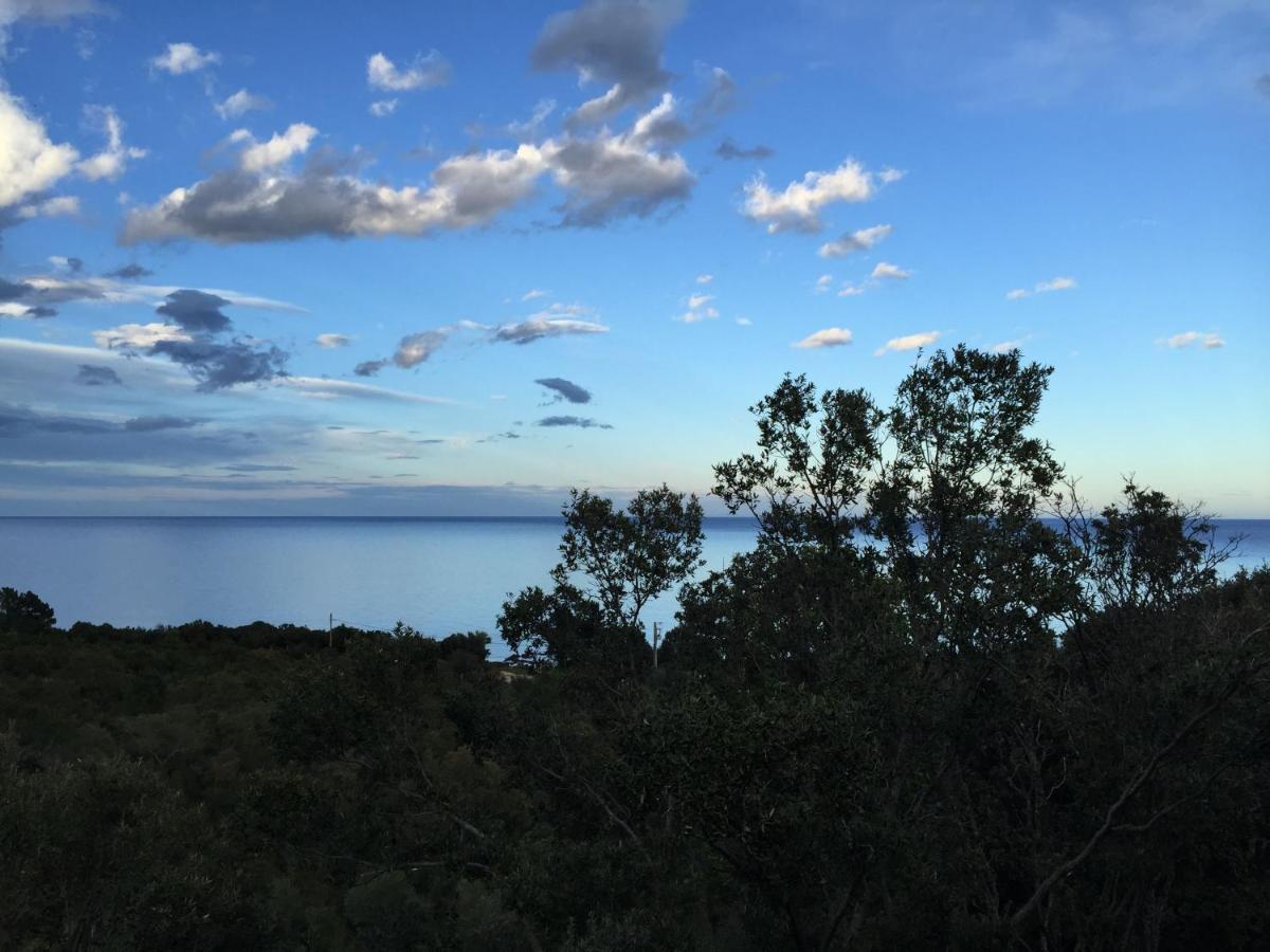 Villa L'Alpana En Bois Vue Mer A 180 Degres Sari-Solenzara Esterno foto